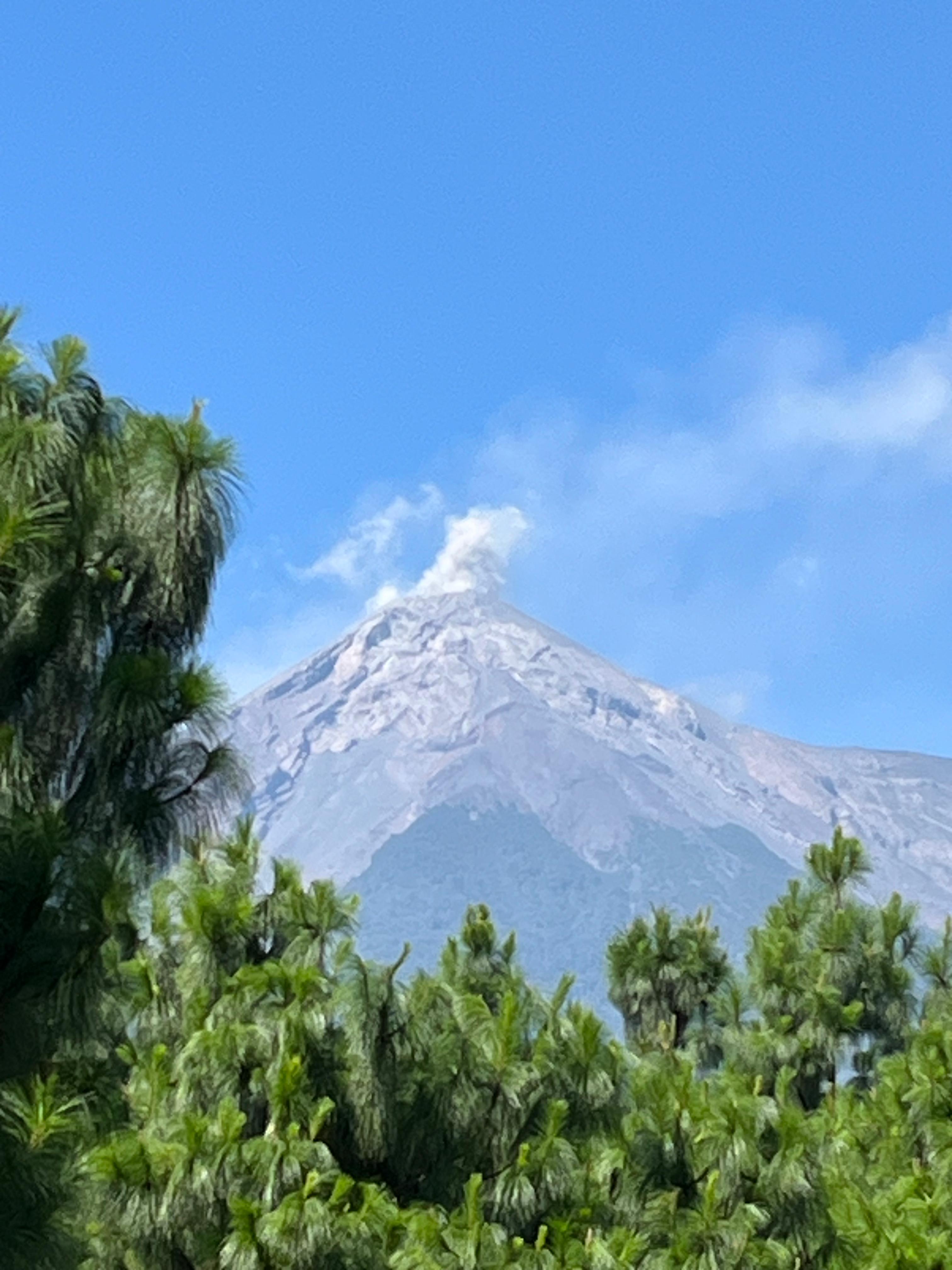 GUA-001 | Finca El Potrero Paraiso